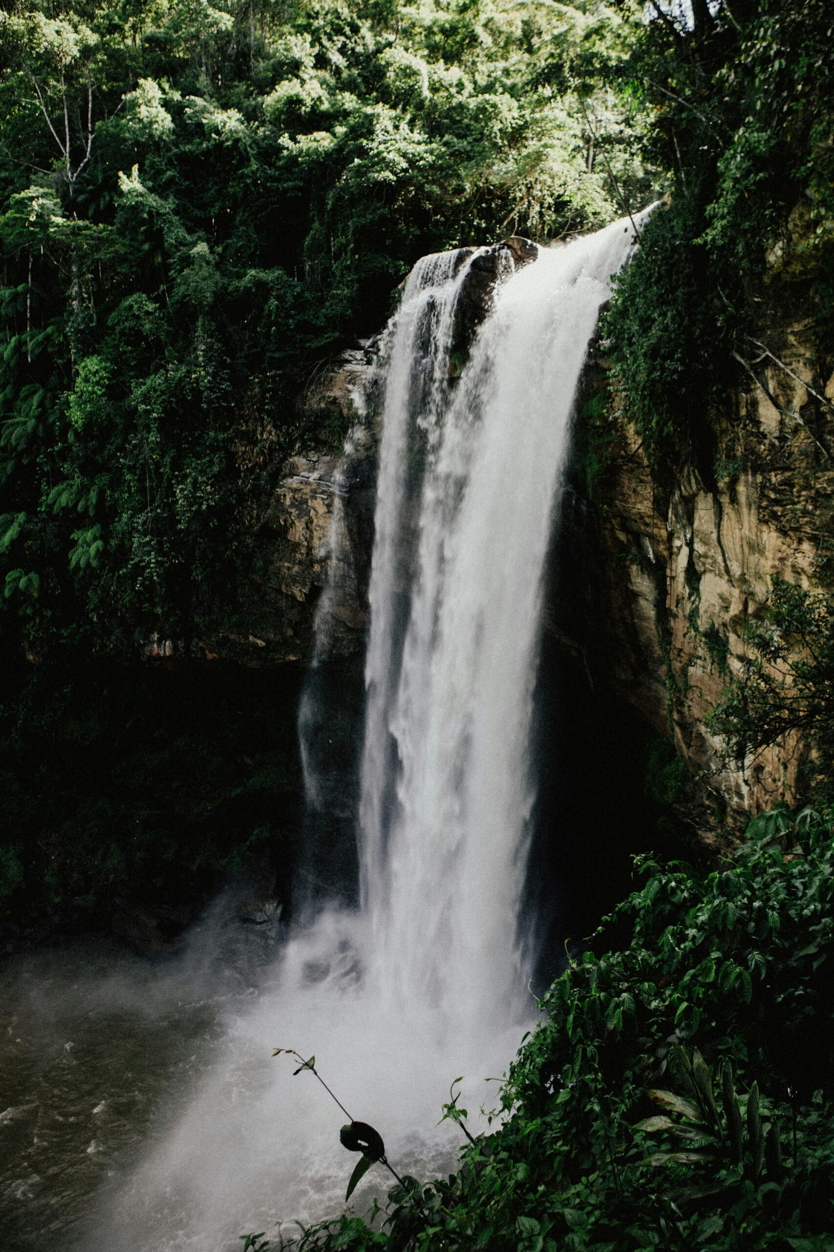 jonathan borba r6lkus4sl a unsplash